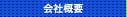 ЊTv