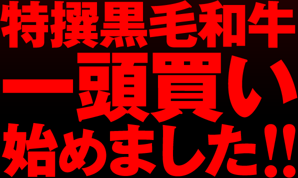 特撰黒毛和牛一頭買い始めました！！