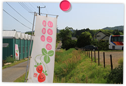 農園イメージ10月