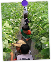 農園イメージ7月